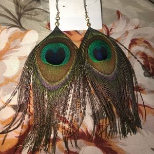 Peacock feather earrings